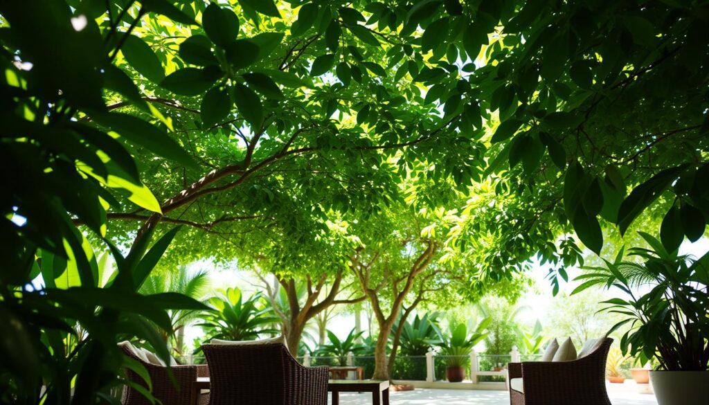 An expansive green canopy casts gentle shadows upon a tranquil outdoor seating area. Lush tropical foliage frames the scene, with sunlight filtering through the leaves to create a dappled, soothing ambiance. Stylish rattan furniture invites visitors to relax and unwind, shielded from the intense Thai heat by the natural shade. The composition evokes a sense of serene respite, a peaceful oasis amidst the warmth and humidity. Captured through a wide-angle lens, the image conveys a harmonious balance between the built and natural elements, showcasing the benefits of utilizing shade to create a comfortable, rejuvenating space.